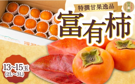 先行予約】鈴木農園 特撰甘果逸品 富有柿 13玉から15玉(2Lから3L