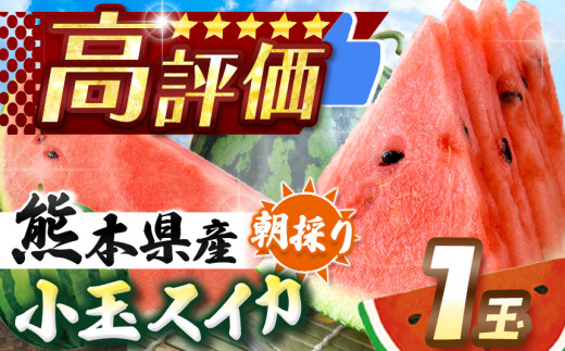 yF{azys\zʃXCJiԐFj1 F{aY y2026Niߘa8Nj4{?6܂ŏz | F{ a ܂ Ȃ݂܂  Z watermelon  1