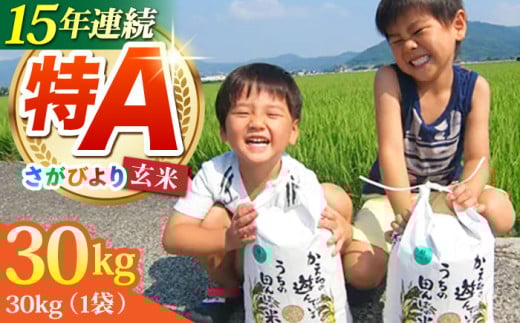 yꌧ]kzy2025N12zߘa7NY V т  30kgyЂȂނ̂āz [HAC001]   ꌧY A] A