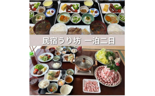 y݂悵zꔑ2l_ƃXg@hV(WrGtR[X)@yAhy1591193z