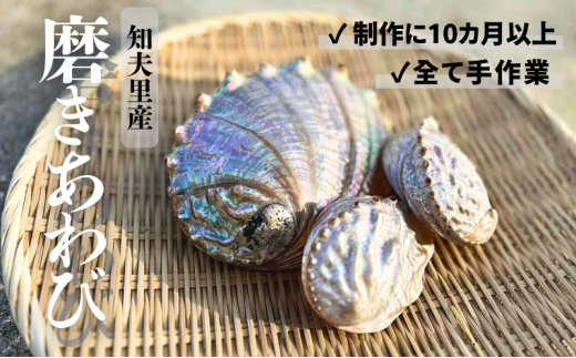 知夫里島】磨きあわび 中サイズ あわび貝加工 あわび貝アクセサリー