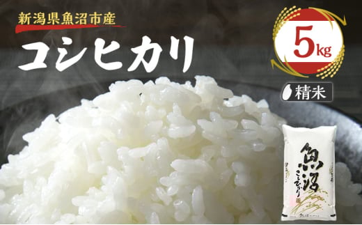 yVsz[5762-0965]ߘa7NYyፑi 5kgzz㋛ YRVqJ  l Ra ~l  R wJ   S ɏ