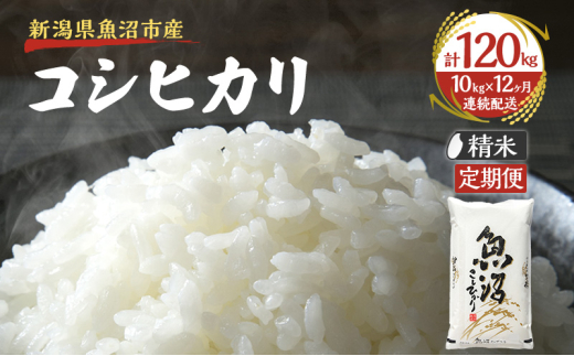 yVsz[5762-0971]yցFፑi 10kg×12zz㋛ YRVqJ  l Ra ~l  R wJ   S ɏ