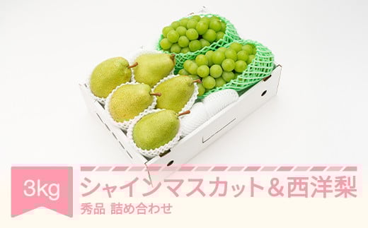 yR`Rszys\zVC}XJbg?Gi?&?m?lߍ킹?3kg?ߘa8NY?2026NY?ʕ??m?ns-fssyx3