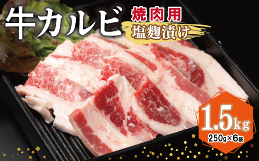 y{򍲖szJr ēp Ђ v1.5kgyt  Ă ȒP BBQ  250g×6܁z