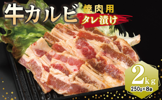 y{򍲖szJr ēp ^Ђ v2kgyt  Ă ȒP BBQ  250g×8܁z