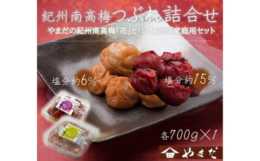 ya̎R쒬zƒp e IB썂~ Ԃ~ ƂЂ̋l mYM17n