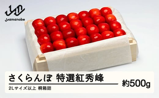 【山形県山辺町】《先行予約》2026年 山形県産 特選紅秀峰 桐箱詰め 約500g やまのべ多田耕太郎のさくらんぼ サクランボ F20A-790