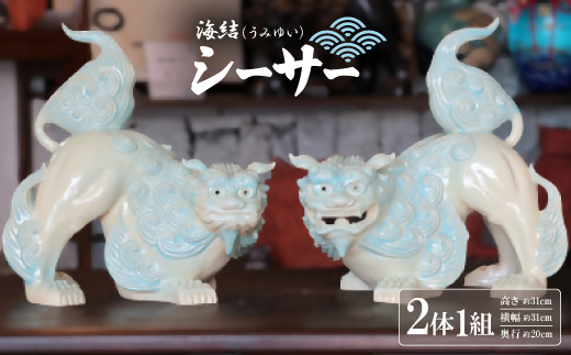 yꌧ^ߌzC(݂䂢)V[T[  V_M[21g]y1591020z