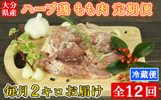 y啪nzsz[11Jn]12(A)啪Y n[u{  v24kgi2kg×12j  12 12 { ① Y  153-851_5