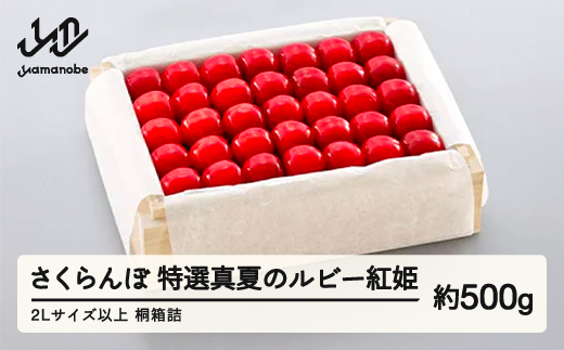 yR`RӒzss\t2026N R`Y Iu^Ẵr[gPv ˔l 500g ܂̂בckŶ TN{ F20A-791