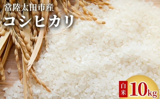 2週間以内発送】コシヒカリ 令和6年産 茨城県 常陸太田市産