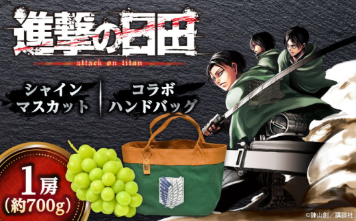 y啪cszys\E26N9ȍ~zĩVC}XJbg 1[ 700g nhobOticjcs / ʎ  VC}XJbg Ⴂ܂ }XJbg