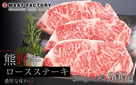 ya̎Ra̎RszF싍 [XXe[L@600gyMT1z