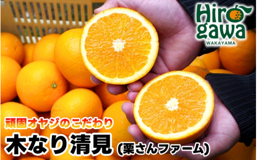 木なり 清見 オレンジ 2kg 頑固オヤジのこだわり / 清見オレンジ 清見