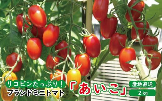 ya̎R쒬zxn~jg}g 2kg yz