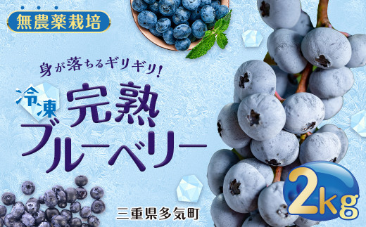 無農薬栽培 冷凍完熟ブルーベリー2kg 果物 くだもの フルーツ 完熟