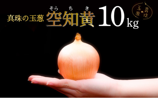 ykC〈sz^̋ʔK m 10kg C̃~lňĂ̋ʔKmy50106z