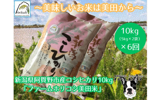 yVszyߘa7NYVāzy6ցzsY RVqJ ut@[zRVcāv 10kgi5kg×2܁j×6    10{菇Jn 3H10157