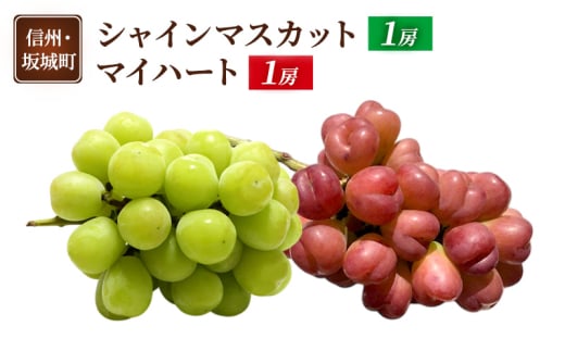 y쌧钬z[5729-0493]Ԃǂ VC}XJbg 1[ }Cn[g 1[  uhE t[c ʕ fU[g  MB  钬