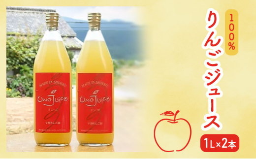 y쌧钬z[5729-0479]100 񂲃W[X 2{ Zbg S W[X r Mtg  MB 