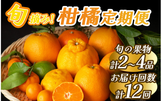 定期便】みかんメインで贈るフルーツ12回の定期便 【 みかん 果物 春