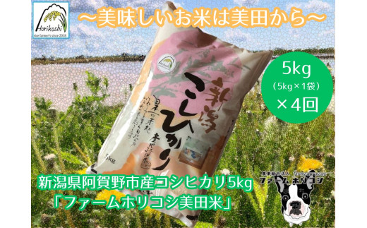 三*子様 新潟県阿賀野市産コシヒカリ24kg 三*子様 新潟県阿賀野市産コシヒカリ24kg
