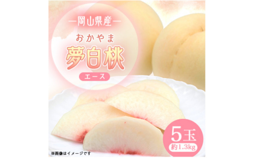 yRsz2026Ns\@RYܖ5ʁG[Xy1601408z