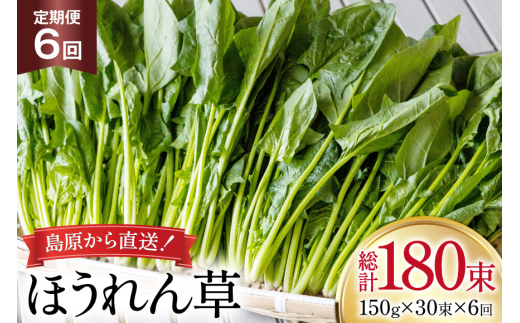 y茧szAI327  6 ق 30 [  zE ₳ zE\E ① t c_ 茧 s ]