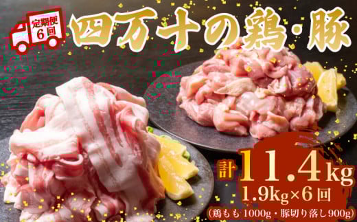ym{szy6Azl\uh {1kg ؓ900giv1.9kg×6) 11.4kg 6 6FR[Xb l\|[NXCX l\|[N ؃o  Ԑ؂ XCX ؂藎Ƃ