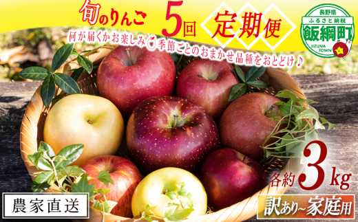 りんご グラニースミス 特選 3kg やまじゅうファーム 沖縄県への りんご グラニースミス 特選 3kg やまじゅうファーム 沖縄県への