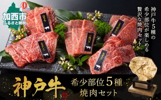【兵庫県加西市】神戸牛 希少部位 焼肉セット 5種 計800g 各80g×2パック×5種 セット ミスジ ヒウチ 三角バラ トウガラシ マルシン 食べ比べセット 神戸ビーフ 和牛 ブランド牛 牛肉 肉 食べ比