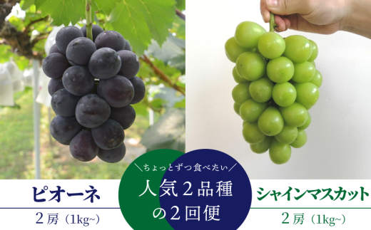 yR^szy2026Ns\zsI[lƃVC}XJbgA2[2ցI() (RY)yKF-T002-01z