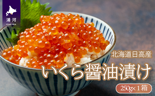 ykCY͒zkCY ݖ(250g×1)[02-1438]