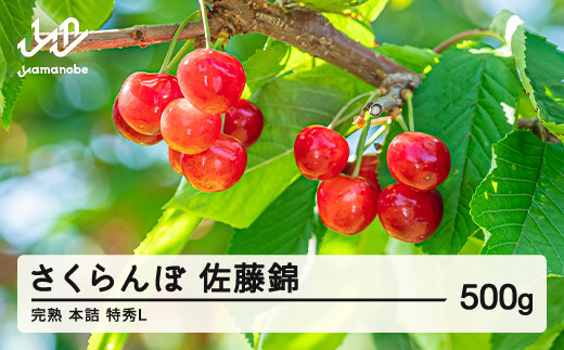sd1_b964ceb960ba292176f81ed8ae