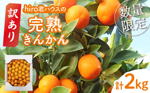 y{茧s_zs\ᐔʌ󂠂hiroNnEX́wn񂩂(v2kg)xt[c ʕ  Y_T022-003