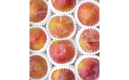 yR`Vsz08-08-038@iHPj2kg