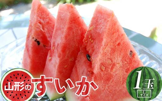 �y�R�`���z�s��s�\�� 2026�N�x�����t�R�`���Y������1�ʁiL�T�C�Y�j  �X�C�J ������ ���Z �f�U�[�g �t���[�c �ʕ� �������� �ʎ� �H�i �R�`�� FSY-0722