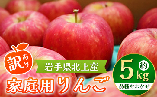 りんご 約 5kg 北上産 岩手県産 リンゴ 林檎 黄王 つがる ジョナ