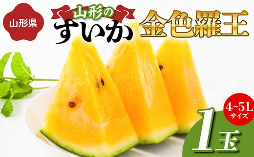 先行予約 2025年度発送》山形県産すいか 1玉（4～5Lサイズ