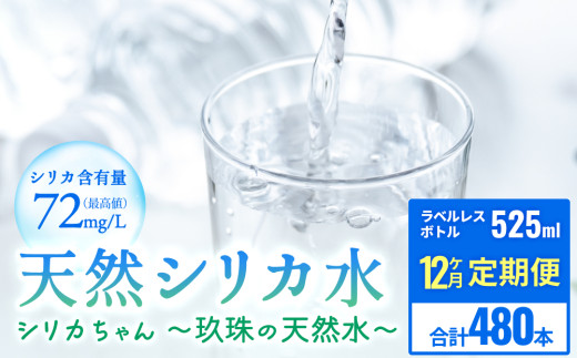 y啪쒬z[ 12] VR VJ  525ml × 40{ VJ?̓VR? xX VR VJ ~lEH[^[ Y SDGs