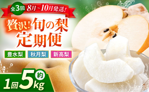 yF{Rszys\zy3ցz  5kg v15kgiLEHEVj   iV t[c ʕ y{t[cЁz [ZFJ024]