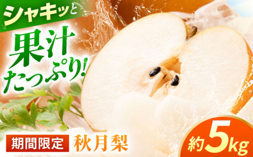 yF{Rszys\zH@5kg   iV t[c ʕ y{t[cЁz [ZFJ015]