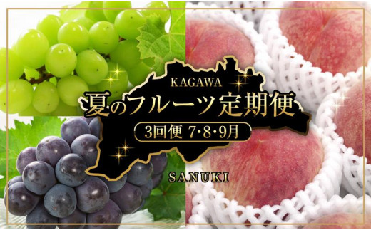 定期便全3回】夏のフルーツ定期便(桃 ニューピオーネ シャイン 定期便全3回】夏のフルーツ定期便(桃 ニューピオーネ シャイン
