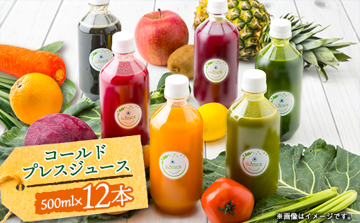 yɌszR[hvXW[X2fCNY[WTCY(500ml×12{Zbg)①iy1511549z