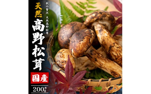 ya̎R{szY@VR쏼@200gy1601023z