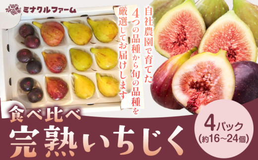 yF{kzn  Hה 4pbN ( 16 ` 24 ) t[c ʕ   C`WN ԉ n F{ k ~iNt@[s2026N8{-9oׁt