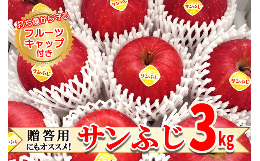 高橋りんご園 『サンふじ』3kg(8～10玉) フルーツキャップ付き 贈答用