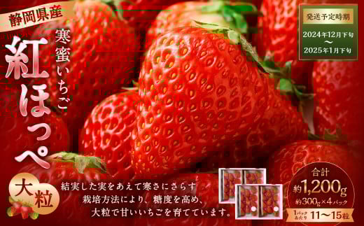 抜き苗 木苺 （⭐️ 野苺苗3株(小)⭐️草苺抜き苗 ラズベリー苗