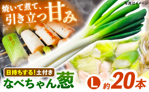 2025年11月発送開始】ねぎ 焼いてそのまま美味しい！なべちゃん葱（土